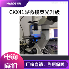 奥林巴斯CKX41倒置显微镜荧光成像升模块